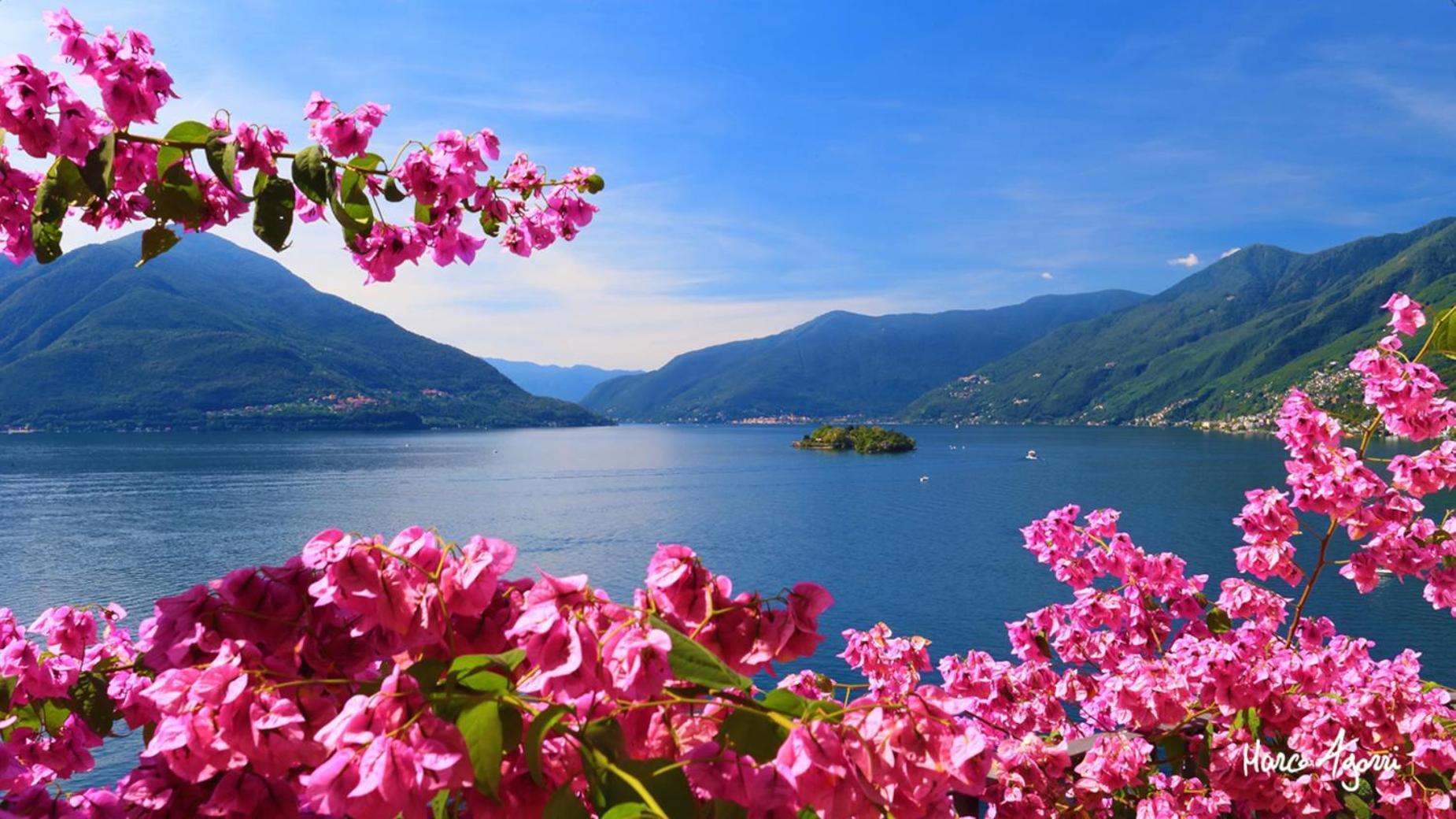 Charme Hotel Al Torchio Ascona Exterior photo